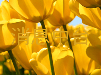 消息中台