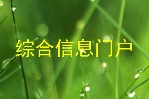 综合信息门户