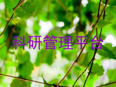 科研管理平台