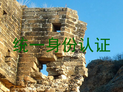 统一身份认证