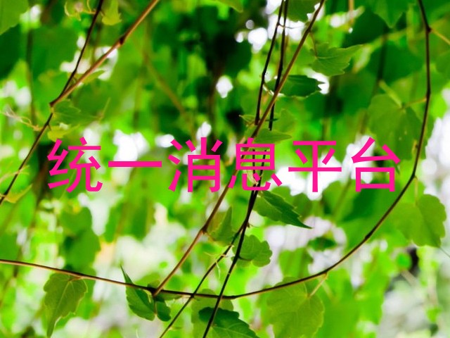 统一消息平台