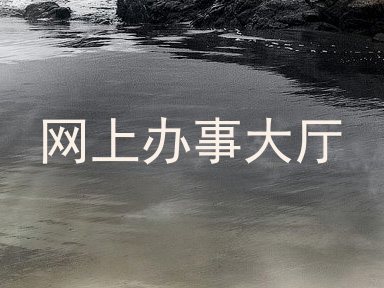 网上办事大厅