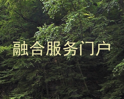 融合服务门户