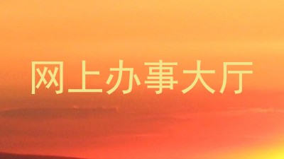 网上办事大厅