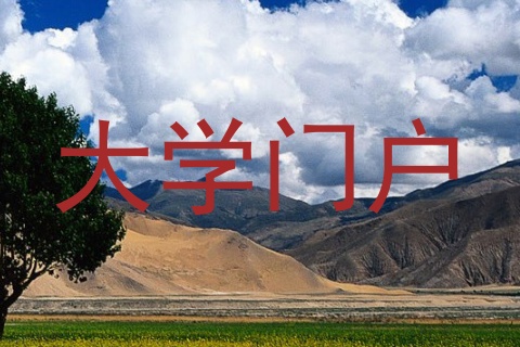 大学门户