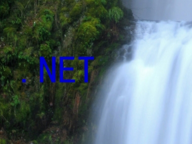 .NET