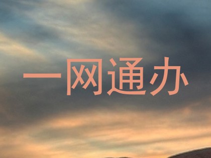 一网通办