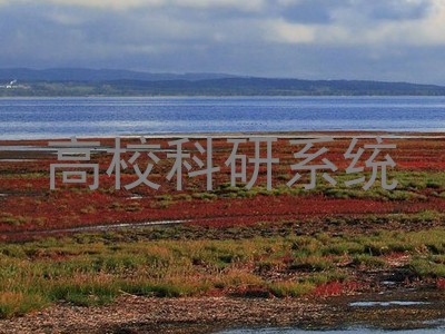 高校科研系统