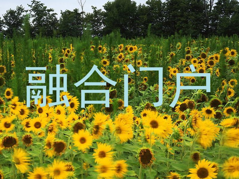 融合门户