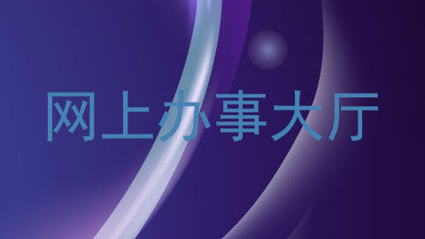 网上办事大厅