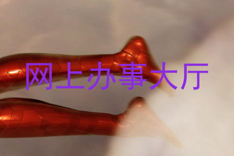 网上办事大厅