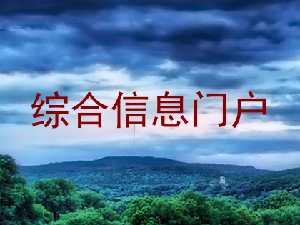 综合信息门户