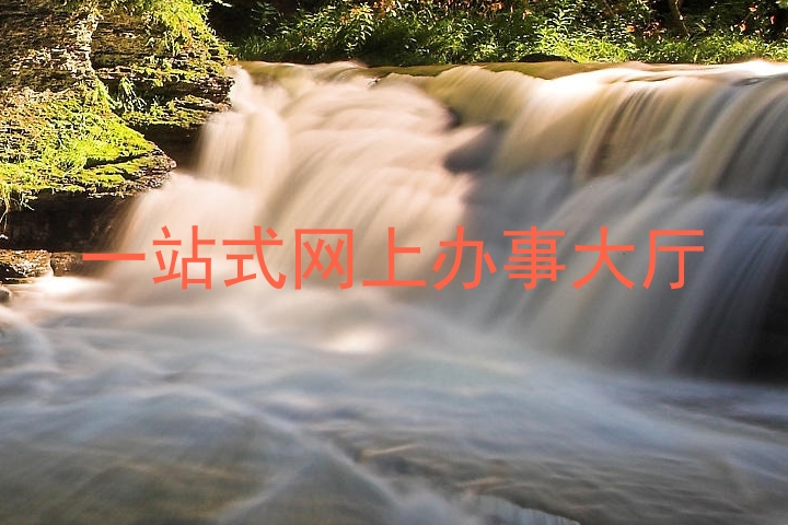 一站式网上办事大厅