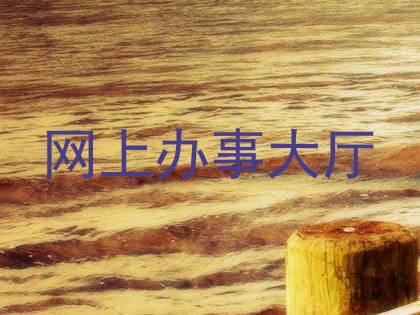 网上办事大厅