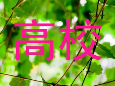 高校