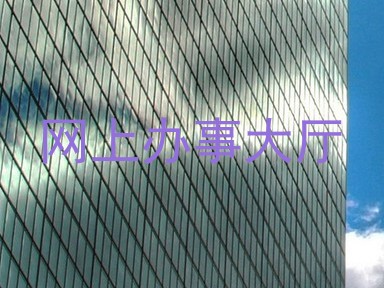 网上办事大厅