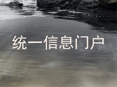 统一信息门户