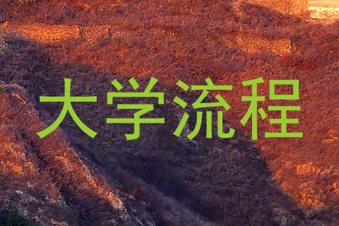 大学流程
