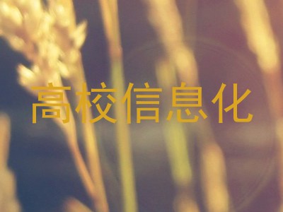 高校信息化