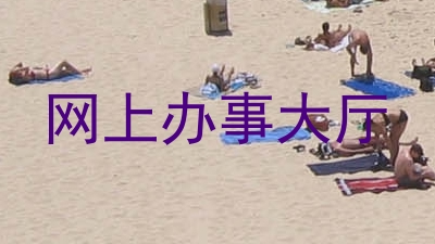 网上办事大厅