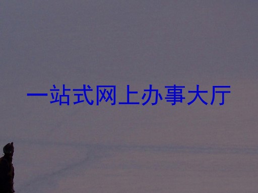 一站式网上办事大厅