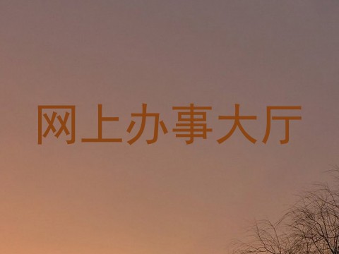 网上办事大厅