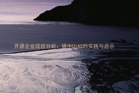 开源企业现状分析:锦中UIAS的实践与启示