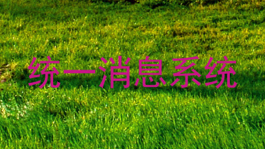 统一消息系统
