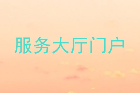 服务大厅门户