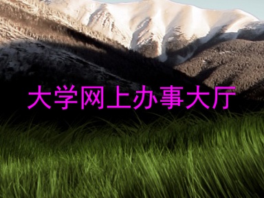大学网上办事大厅