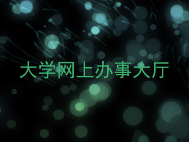 大学网上办事大厅