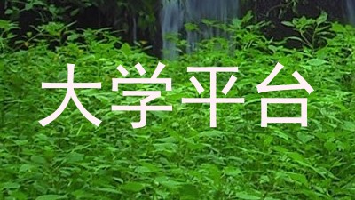 大学平台