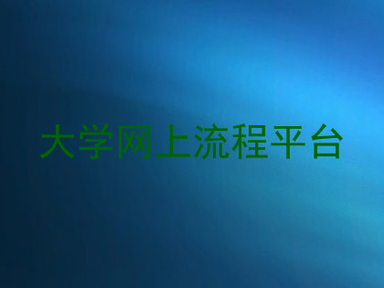 大学网上流程平台