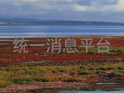 统一消息平台