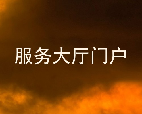 服务大厅门户