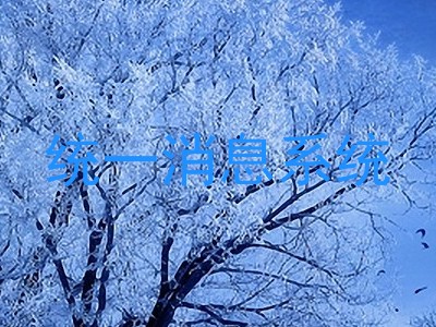 统一消息系统