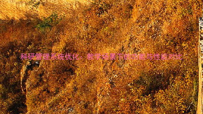科研管理系统优化:教学场景下的功能与性能对比