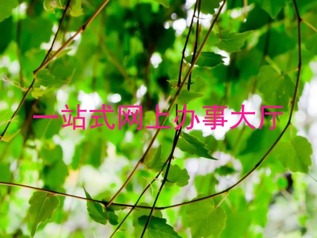 一站式网上办事大厅