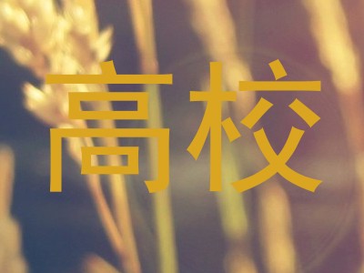 高校
