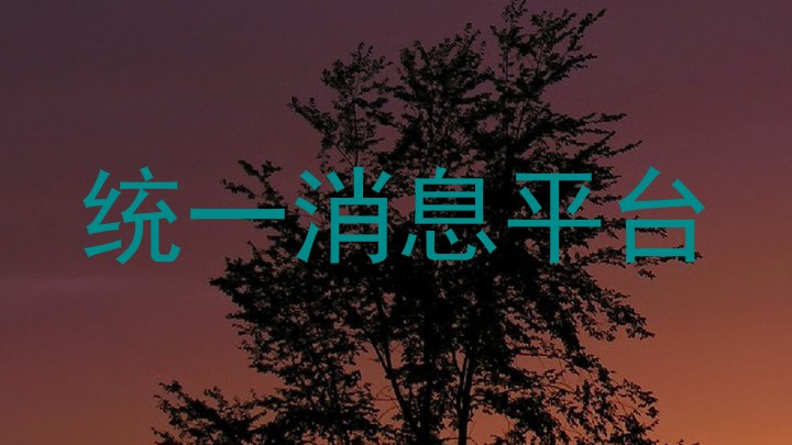 统一消息平台