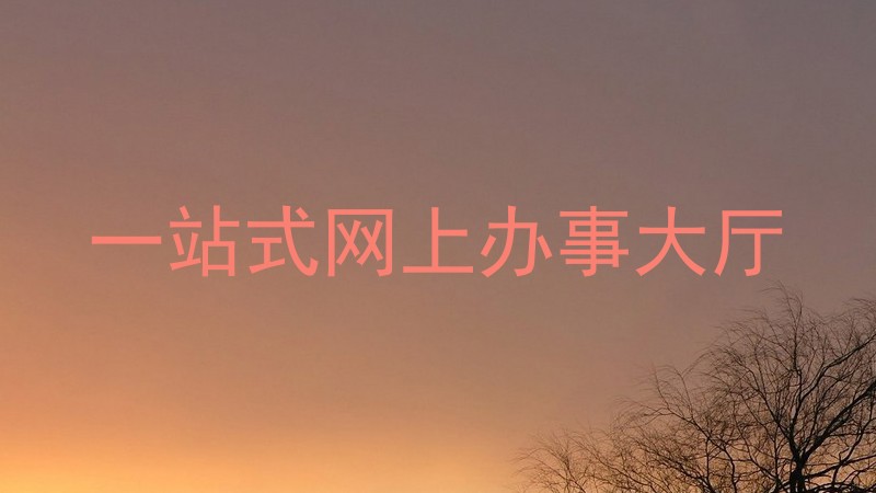 一站式网上办事大厅