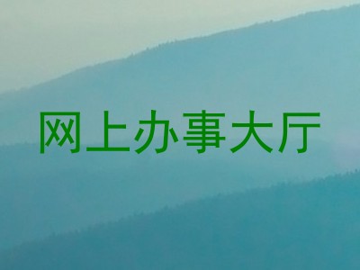网上办事大厅