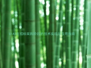 UIAS在招标采购阶段的技术实现与应用指南