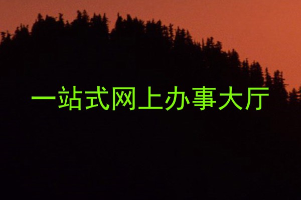 一站式网上办事大厅
