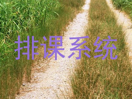 排课系统