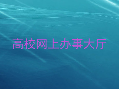 高校网上办事大厅