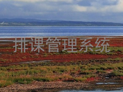 排课管理系统