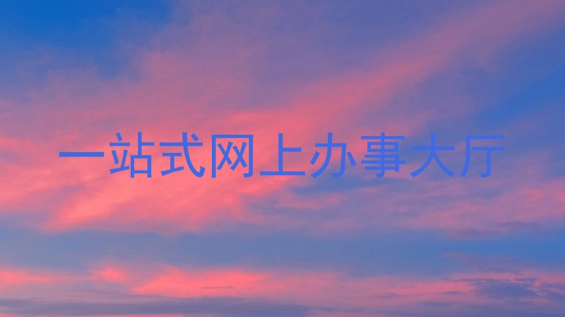一站式网上办事大厅
