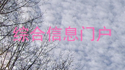 综合信息门户