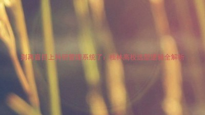 别再盲目上科研管理系统了:桂林高校选型逻辑全解析
